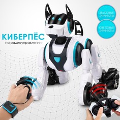 Робот собака stunt, на пульте управления, интерактивный: звук, свет, на аккумуляторе, белый No Brand