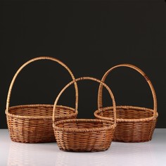 Набор корзин, 3 шт, 34×27×13/39, 30×24×11/34, 27×21×10/29 см, лоза, кукуруза No Brand