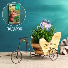 Кашпо-велосипед No Brand