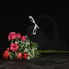 Переноска для цветов без ленты, 30х25х12 см No Brand