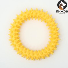 Игрушка плавающая для собак Пижон