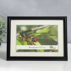 Фоторамка пластик 15х21 см 385-blak (пластиковый экран) No Brand