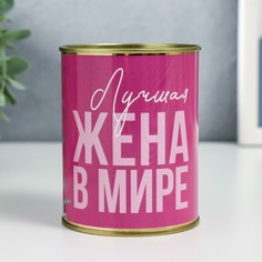Копилка-банка металл No Brand
