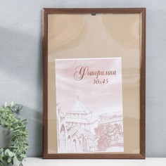 Фоторамка сосна с19 орех 30х45 см (пластиковый экран) No Brand