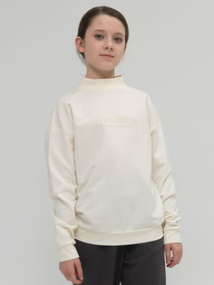 Толстовка Pelican