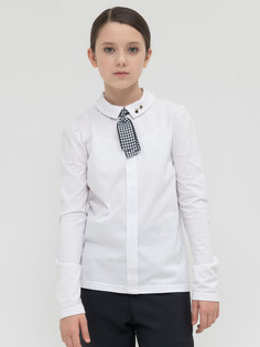 Джемпер Pelican