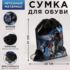 Сумка для обуви Art Fox