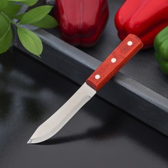 Нож кухонный доляна