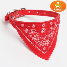 Ошейник с косынкой 32 х 1 см, ош 22-28, красный Пижон
