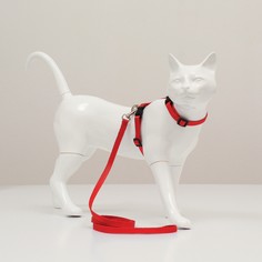 Комплект для кошек, ширина 1 см, ош 16,5-27 см, ог 21-35 см, поводок 120 см, красный Пижон