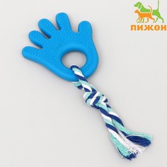 Игрушка жевательная с канатом для собак Пижон