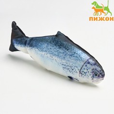 Игрушка для кошек Пижон