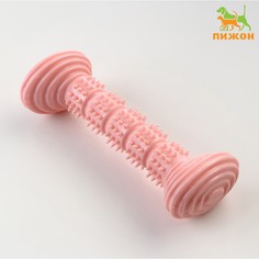 Игрушка для собак Пижон