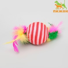 Шар-погремушка с перьями двухцветный, 4,5 см, красный/розовый Пижон
