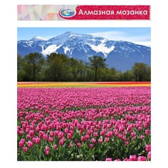 Алмазная мозаика без подрамника, частичное заполнение No Brand