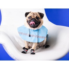 Дождевик для собак, размер xs (дс 15-20, ог 17-22, ош 13-17 см), голубой No Brand