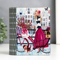 Шкатулка-книга No Brand
