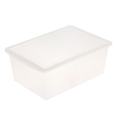 Ящик универсальный для хранения с крышкой, объем 30л, цвет прозрачно-матовый Solomon