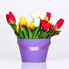 Переноска конус под цветы, фиолетовый 11,5 х 17 х 12 см No Brand