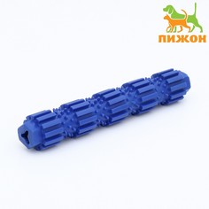 Игрушка жевательная для собак Пижон