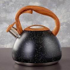Чайник со свистком из нержавеющей стали magistro stone, 2,7 л, ручка soft-touch, индукция, цвет черный