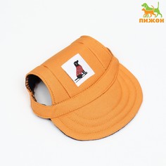 Кепка для собак, m (28-41 см), оранжевая No Brand