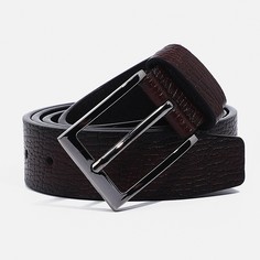 Ремень мужской, ширина 3,5 см, винт, пряжка металл, цвет коричневый No Brand