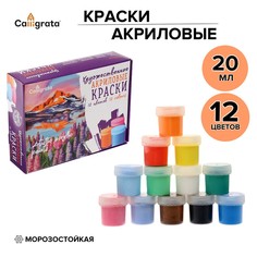 Краска акриловая, набор 12 цветов х 20 мл, calligrata, художественная, морозостойкая, в картонной коробке