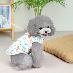 Куртка для собак No Brand