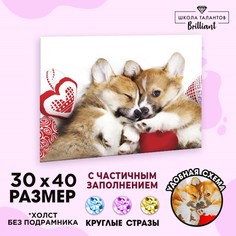 Алмазная мозаика с частичным заполнением Школа талантов