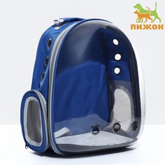Рюкзак для переноски животных прозрачный, 31 х 28 х 42 см, синий Пижон