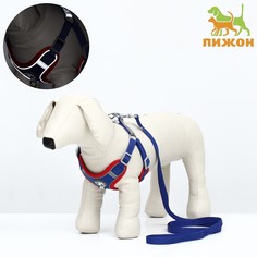 Комплект sport+, l, поводок 120x1,5 см, ош 49-56 ог 56-68 см, вес животного 20-28 кг, синий 968379 Пижон