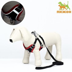 Комплект sport+, s, поводок 120x1,5 см, ош 39-41 ог 44-48 см, вес животного 7-13 кг, черный 968380 Пижон