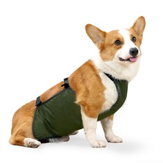 Нагрудник послеоперационный для собак весом 4-7 кг, размер s (ог 35, от 35 см), зеленый Пижон