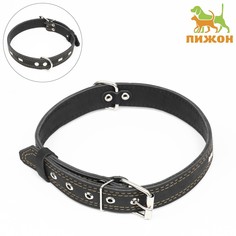 Ошейник кожаный двухслойный украшенный, 69 х 3,5 см, ош 45-60 см, черный Пижон
