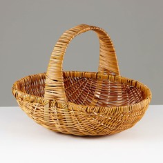 Корзина плетеная, 38х26х11/29 см, ферн No Brand
