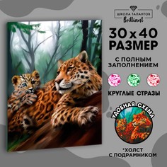 Алмазная мозаика на подрамнике 30x40 с полным заполнением Школа талантов