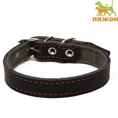 Ошейник комбинированный кожа/брезент, 53 х 2.5 см, ош 35-45 см, черный Пижон