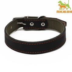 Ошейник комбинированный кожа/брезент, 69 х 3,5 см, ош 45-60 см, черный Пижон