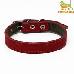 Ошейник комбинированный кожа/брезент, 53 х 2.5 см, ош 35-45 см, красный Пижон