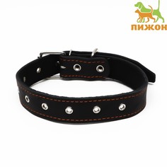 Ошейник кожаный на синтепоне, безразмерный, 71 х 3,5 см, ош 29-62 см, черный Пижон