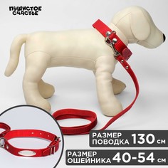 Комплект ошейник (40-54х2.5 см) и поводок (130х1.2 см) рептилия, красный Пушистое счастье