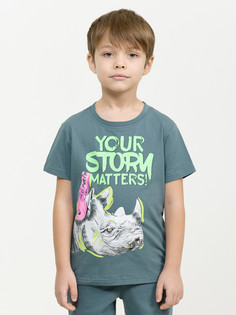 Футболка Pelican