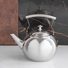 Чайник из нержавеющей стали No Brand