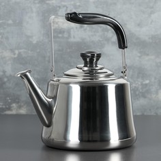Чайник из нержавеющей стали No Brand