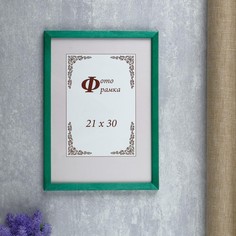 Фоторамка сосна с14 21х30 см, 058 зеленый (пластиковый экран) No Brand