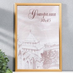 Фоторамка сосна с19 золото 30х45 см (пластиковый экран) No Brand