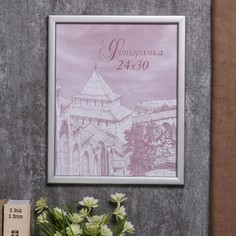 Фоторамка сосна с19 серебро 24х30 см (пластиковый экран) No Brand