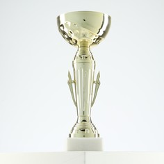 Кубок 107, зол., подставка камень, 22 х 8 х 8 см Командор