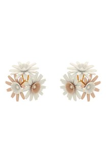 Клипсы Marni